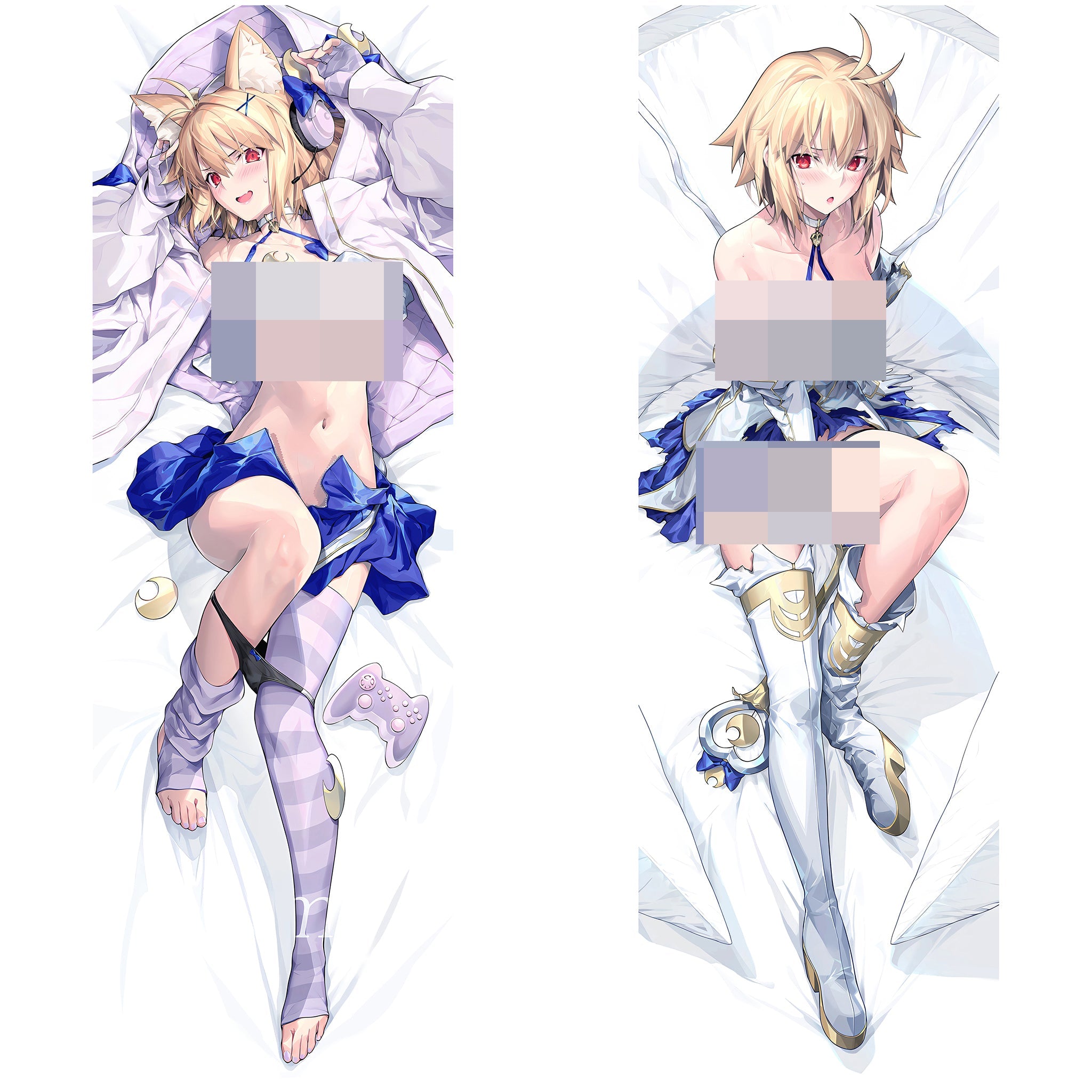Arcueid Brunestud – AnimePillow Fan-Art Edition