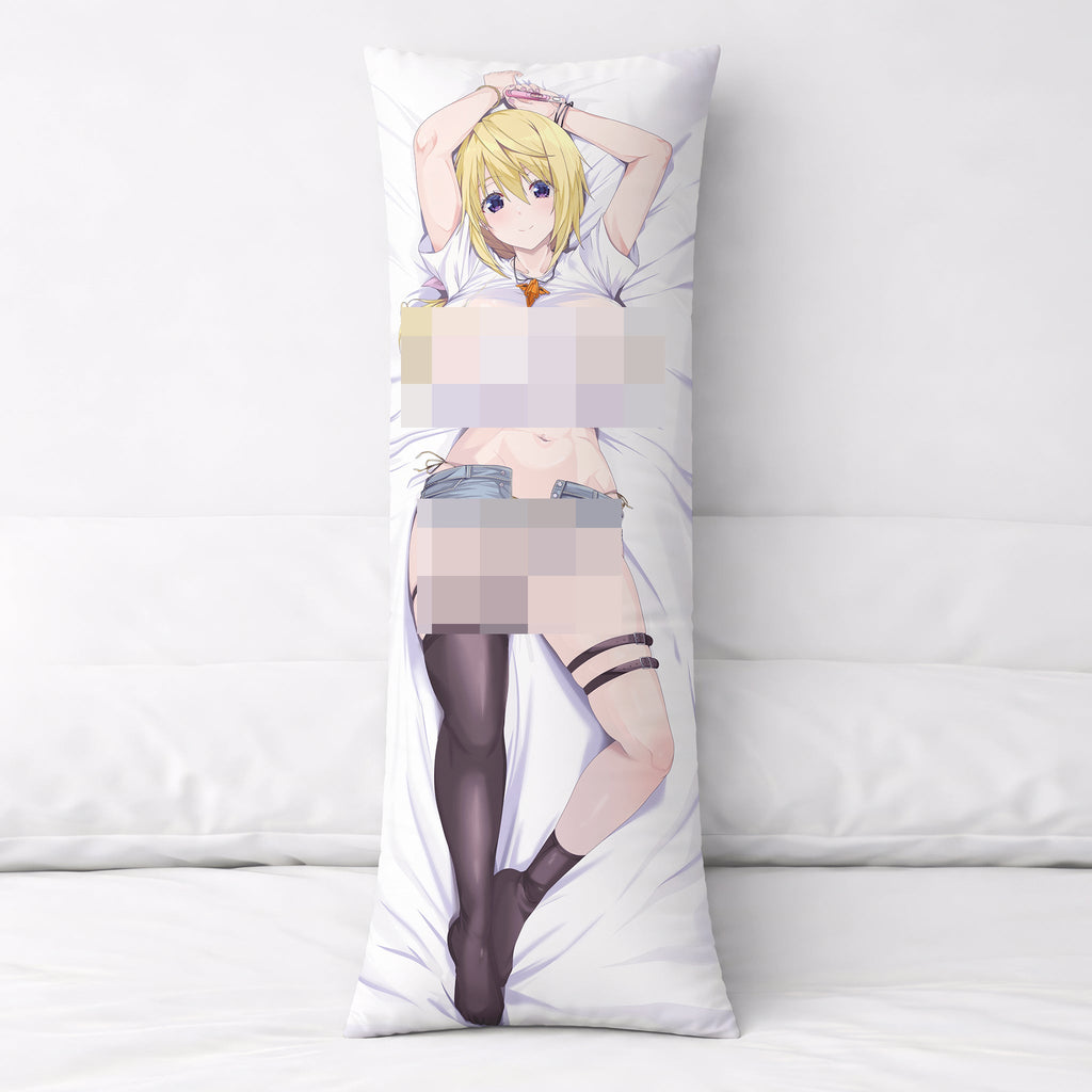 Charlotte Dunois - AnimePillow Fan-Art Edition