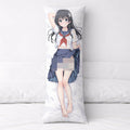Ruiko Saten - AnimePillow Fan-Art Edition